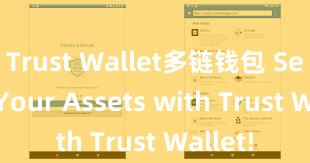 Trust Wallet多链钱包 Secure Your Assets with Trust Wallet!