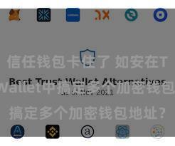 信任钱包卡住了 如安在Trust Wallet中搞定多个加密钱包地址？