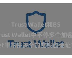 Trust Wallet和BSC 如安在Trust Wallet中不停多个加密钱包地址？