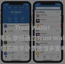 Trust Wallet国内能用吗 奈何通过Trust Wallet为你的数字钞票添增多重考据安全次序？